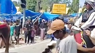 Khitanan massal sambil naik kuda pattu'du