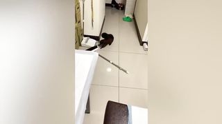 DRAMATIC Squirrel Death