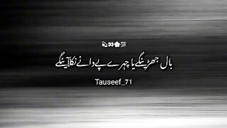 Anyone 2