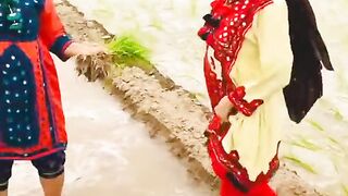 Sareki mahol ki acchi video