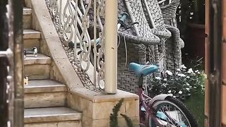 This is Cairo 2