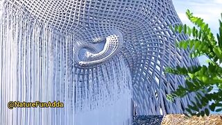 Nature Love WhatsApp status|Nature lovers spot #Naturelove #Nturefunadda