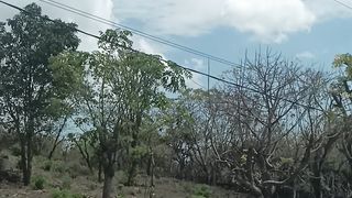 Traveling in Kupang NTT Indonesia