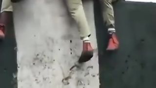 Funny videos 293