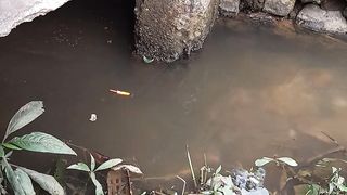 MANCING