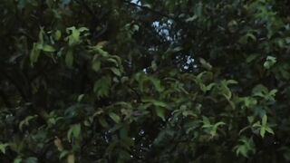 Cinematic - WME Project Indonesian