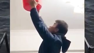 what a spider
