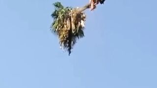 This man is crazy