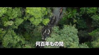 Robort movie
