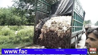وٹامنز سے بھر پور شوارما کھانے والے ہو جائیں تیار طاقت ایسی کہ سنبھالی نہ جائے