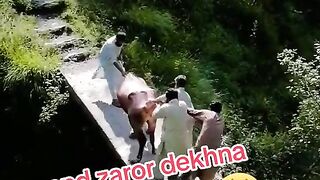 Funny 978