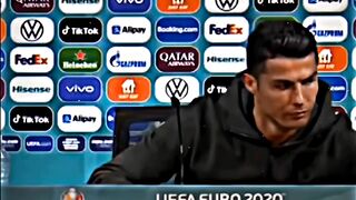 Ronaldo fan