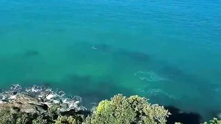 Praia de Juquehy