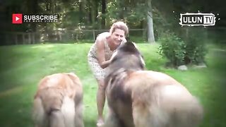 TOP_5_ANJING_RAKSASA_TERBESAR_DIDUNIA