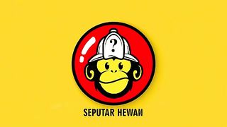 12_Hewan_Eksotis_Yang_Boleh_Di_Pelihara