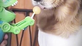 Тик ток 21