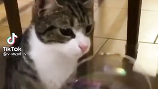 Приколи 269