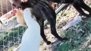 Тик ток 24