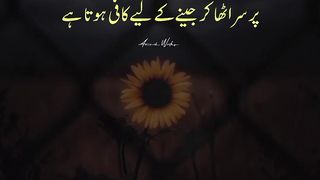 Catching motivational qoute line