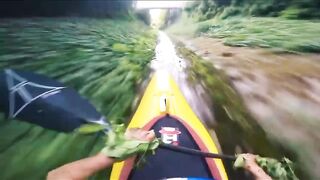 Freestyle Worlds