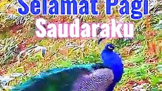 Selamat pagi 4