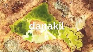 Danakil: Gurun yang Dijuluki Gerbang Menuju Neraka