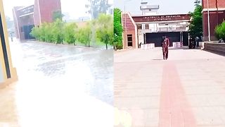 University of education