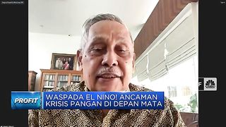 Gak Cuma Air, Ini Yang "Ganggu" Produksi Beras Saat El Nino