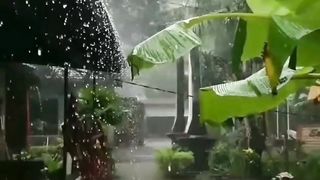 Aesthetic rain