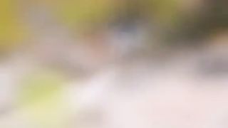 Amazing videos 12