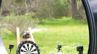 Ixtrolar 9
