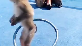 Video monkey play