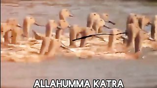 Mugimugi di paringi ijabah