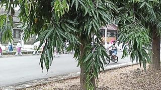 All the students did a parade around to commemorate the  new year.