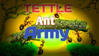 Little ant army