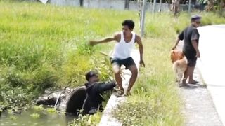 vidio kocak warga di prank di kejar harimau