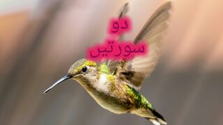 Do Suratain | Surah Baqarah | Hadees