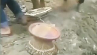 vidio lucu part 49 __ vidio lucu bikin ngakak #Short#viral#lucu#ngakak