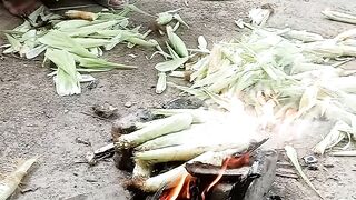 Munga wagy pagho