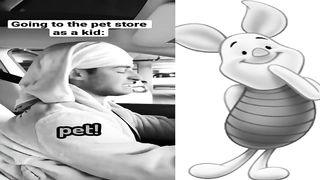 The TikTok Food Waster Got Worse.