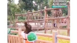 Funny memes..