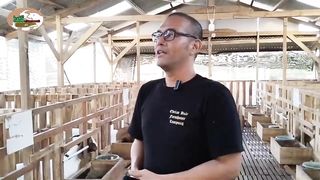 Peternakan Kambing BOER Asal Indonesia Yang Di Import Dari Australia