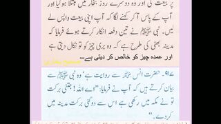 اسلامی معلومات مدینہ منورہ کی اہمیت