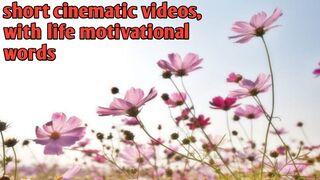 Sinematic flower