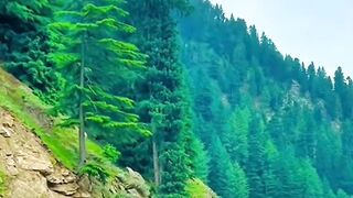 Beauty's View Naran Kaghan Valley Pakistan