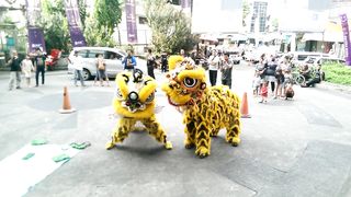 Barongsai China atraction