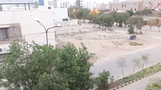 Crows are coming to rest