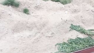 Sand dunes and stray dogs