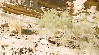 Beauty of Pakistan 8
