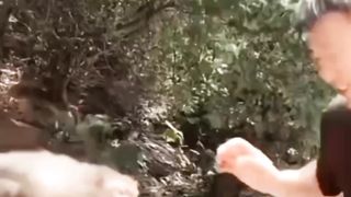 Funny animal ???? 2